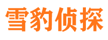 桐庐侦探公司